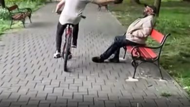 agresiune-socanta-in-reghin:-un-barbat,-lovit-cu-un-capac-de-gunoi-in-cap-de-mai-multi-minori-pentru-vizualizari-pe-internet!-video
