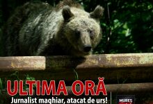 ultima-ora-|-jurnalistul-maghiar-andras-foldes,-atacat-de-urs-la-baile-tusnad!-gestul-disperat-care-i-a-salvat-viata!