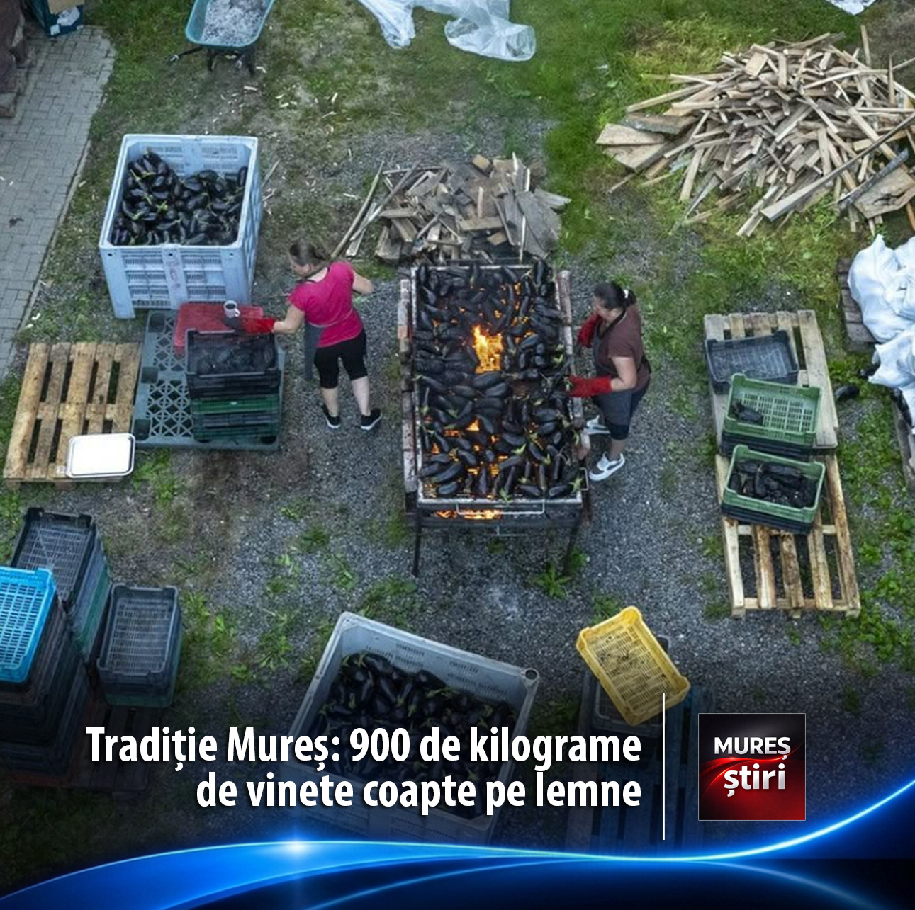 ratacire-si-traditie-in-muntii-gurghiului:-900-de-kilograme-de-vinete-coapte-pe-lemne,-surprinse-de-fotograful-muresean-adi-coco!