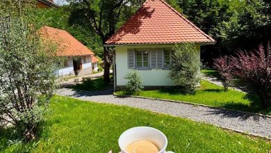 vacanta-fara-telefon-si-electricitate,-intr-un-sat-turistic-din-covasna