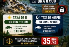 lac doctoru cipau