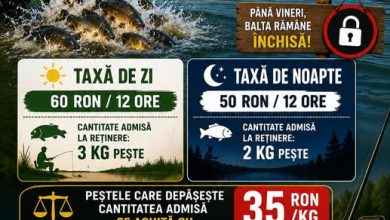 lac doctoru cipau