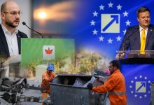 udmr pnl salubritate