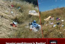 imagini-revoltatoare-la-reghin:-zona-mures-river-park,-transformata-in-groapa-de-gunoi-sub-privirile-autoritatilor!-foto