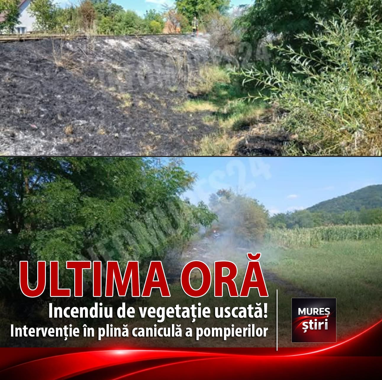 incendiu-de-vegetatie-uscata-in-localitatea-satu-nou!-interventie-in-plina-canicula-a-pompierilor-de-la-statia-acatari