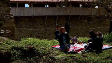 cosuri-cu-alimente,-pregatite-pentru-turisti-la-picnicul-cultural-gustul-cetatii,-la-saptamana-haferland-2026