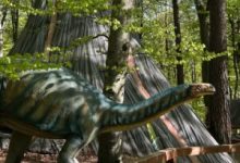 dino-parc-rasnov-aniverseaza-11-ani-de-activitate-cu-un-record-de-4,5-milioane-de-vizitatori