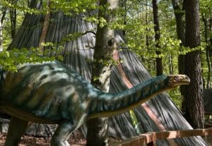 dino-parc-rasnov-aniverseaza-11-ani-de-activitate-cu-un-record-de-4,5-milioane-de-vizitatori