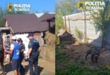 brasov:-dosare-penale-pentru-doi-barbati-banuiti-de-rele-tratamente-aplicate-animalelor