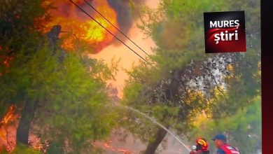 misiune-critica-in-grecia:-salvatorii-romani-au-oprit-extinderea-incendiilor!