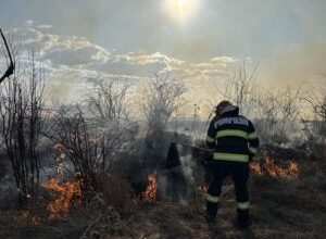 in-mures-si-harghita,-canicula-a-cauzat-mai-putine-incendii-de-vegetatie-decat-primavara