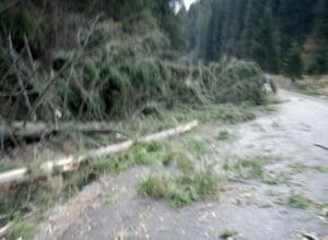 cod-portocaliu-in-mures.-copaci-cazuti-blocheaza-dn-15-la-valenii-de-munte