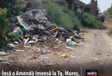 amenda-imensa-de-30.000-de-lei-pentru-abandonarea-ilegala-de-deseuri-pe-domeniul-public,-aplicata-de-politia-locala!