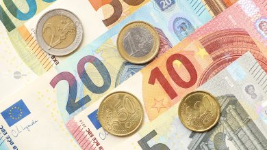 fondul-de-investitii-pentru-digitalizare-si-tranzitie-verde,-taiat-de-la-300-la-100-de-milioane-de-euro
