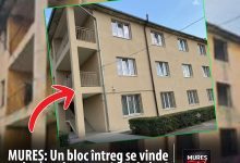 mures:-un-bloc-intreg-din-caramida,-cu-proiect-de-mansardare-si-795-mp-utili,-se-vinde-la-pretul-unei-garsoniere-mai-“mofturoase”-in-orasele-mari!