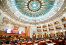 legea-care-dubleaza-numarul-ursilor-ce-pot-fi-impuscati-se-intoarce-in-parlament