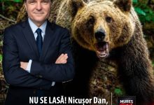 nu-se-lasa!-presedintele-nicusor-dan-a-retrimis-in-parlament-legea-ursilor:-solicitare-de-reexaminare-pentru-eficienta-si-protectia-mediului!