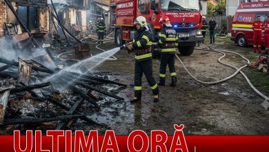 incendiu-violent-la-anexe-gospodaresti-in-localitatea-saulia.-interventie-prompta-a-pompierilor-militari!