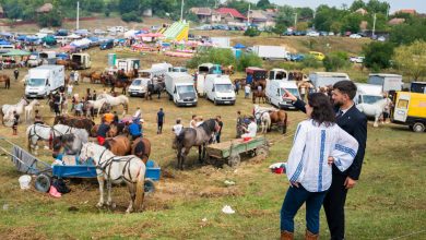 expozitie-de-cai-si-baltata-romaneasca-la-cipaieni.-dumitrita-gliga:-muresul,-pe-primul-loc-in-tara-la-productia-de-lapte-de-vaca