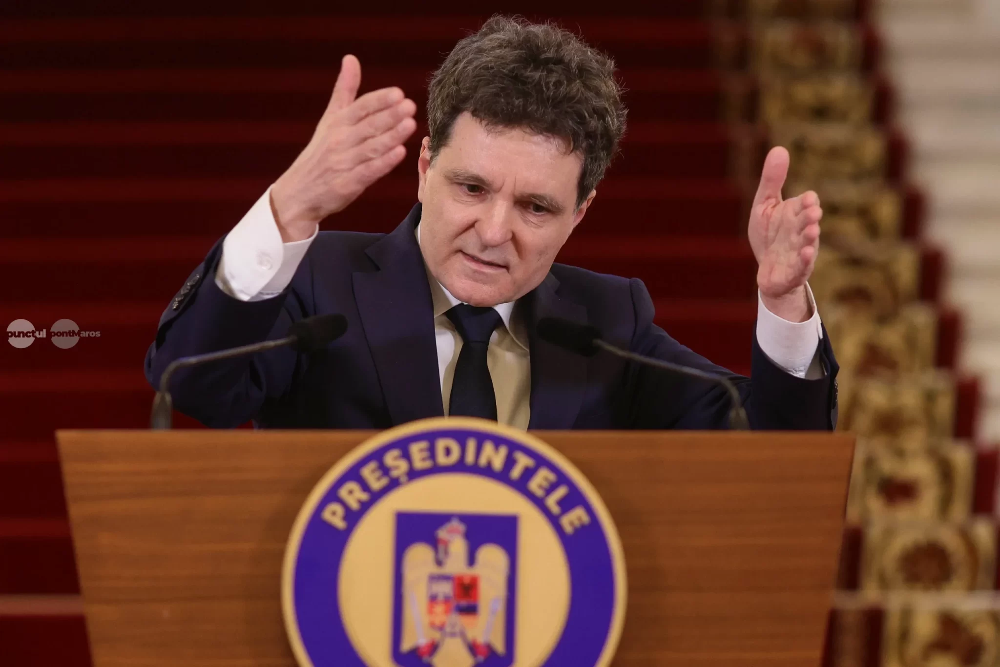 presedintele-nicusor-dan-amana-din-nou-impuscarea-ursilor
