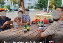 parcuri-transformate-in-carciumi-si-animale-lasate-libere:-nota-de-plata-a-distractiei-pe-domeniul-public!