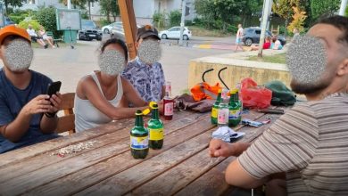 parcuri-transformate-in-carciumi-si-animale-lasate-libere:-nota-de-plata-a-distractiei-pe-domeniul-public!