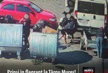 mizerie-zero-tolerata-la-targu-mures:-amenzi-de-zeci-de-mii-de-lei-pentru-gunoaie,-parcuri-batjocorite-si-scormonit-in-ghene!