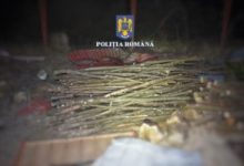 politistii-mureseni-dotati-cu-echipamente-noi-pentru-combaterea-infractiunilor-silvice