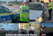 bilant-al-politistilor-mureseni-in-weekendul-8–9-august-2026:-peste-200-de-sanctiuni-contraventionale-si-32-de-permise-retinute-in-urma-actiunilor-pentru-siguranta-rutiera!