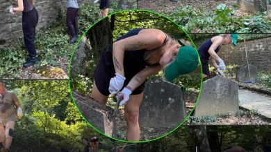 tineri-voluntari-din-12-tari-salveaza-istoria:-proiect-international-de-conservare-in-cimitirul-evanghelic-din-cetatea-sighisoarei!