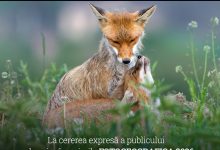 fotografii-din-mures-se-mai-pot-inscrie-la-fotogeografica-2026.-premiantii-vor-participa-la-proiectul-„pe-mures-si-pe-tarnave”