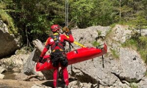 harghita:-femeie-de-74-de-ani,-disparuta-de-doua-saptamani,-cautata-de-politisti-si-salvamontisti