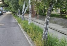 peste-300-de-tone-de-aluviuni-si-deseuri,-scoase-la-tg.mures-din-poclos