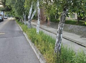 peste-300-de-tone-de-aluviuni-si-deseuri,-scoase-la-tg.mures-din-poclos