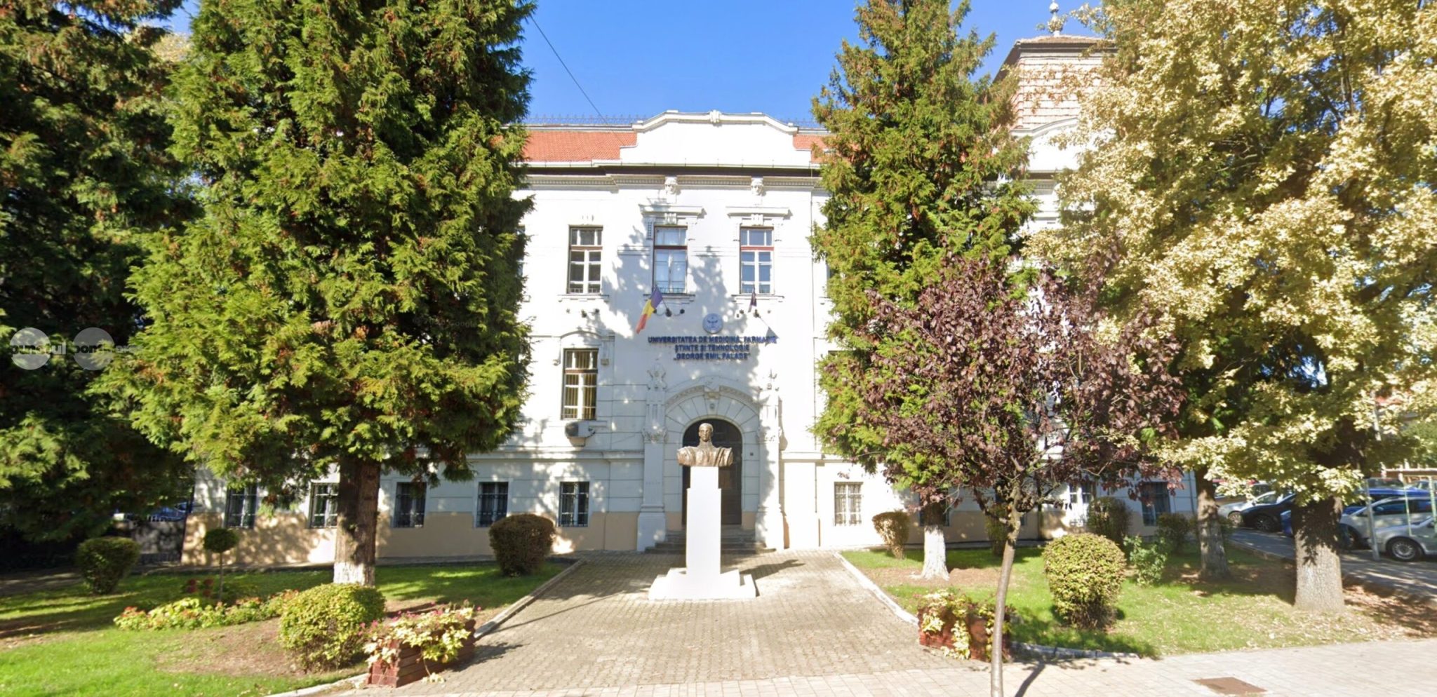studiu-la-umfst:-86%-dintre-studentii-la-pedagogie-folosesc-ai