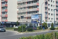 tufa-plantata-recent-pe-gheorghe-doja,-problema-de-vizibilitate-pentru-soferi