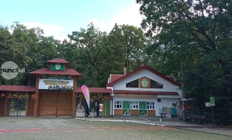 peste-2,5-milioane-de-lei-pentru-constructia-unui-food-court-la-gradina-zoo