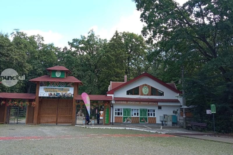 peste-2,5-milioane-de-lei-pentru-constructia-unui-food-court-la-gradina-zoo