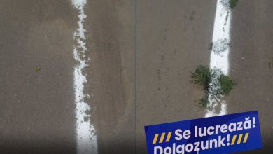 bataie-de-joc-pe-bani-publici-la-targu-mures:-marcaje-rutiere-„de-exceptie”-trase-direct-peste-nisip-si-buruieni!