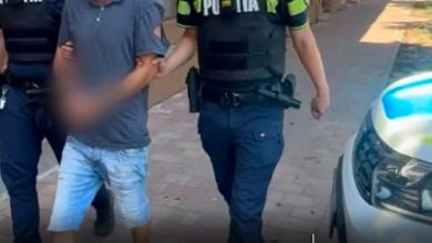 barbat-din-targu-mures,-retinut-de-politisti-dupa-ce-ar-fi-impuscat-mortal-o-pisica-cu-o-arma-cu-aer-comprimat!