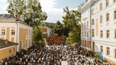 guvernul-a-aprobat-cifrele-de-scolarizare-pentru-umfst,-uat,-cantemir-si-sapientia