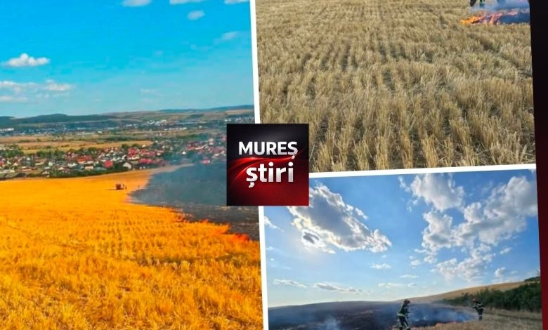peste-20-de-hectare-de-teren-au-fost-afectate-de-flacari,-in-nazna!