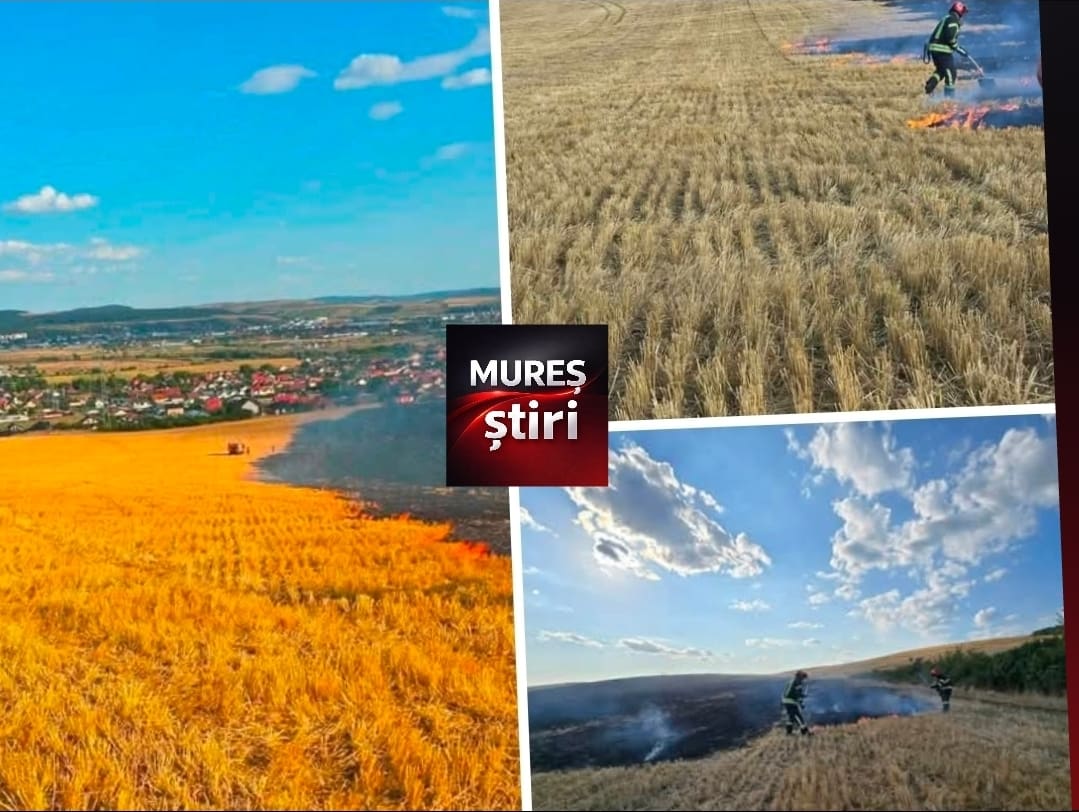 peste-20-de-hectare-de-teren-au-fost-afectate-de-flacari,-in-nazna!