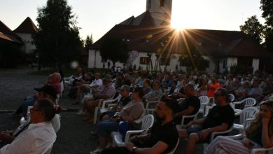 harmonia-cordis,-acorduri-internationale-in-cetatea-medievala-din-targu-mures