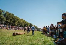 festival-ecvestru-la-reghin:-cai,-parade-si-demonstratii-spectaculoase,-pe-30-august