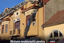 misiune-neobisnuita-pentru-pompierii-din-reghin:-o-pisica-blocata-pe-acoperis,-salvata-cu-autoscara-de-la-inaltime!