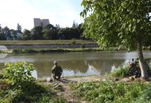 eveniment-de-pescuit-la-feeder-pe-raul-mures,-la-targu-mures.-inscrierile-au-inceput