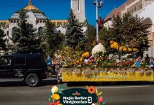 cetatea-medievala-din-targu-mures-se-umple-de-flori-la-a-treia-editie-magia-florilor