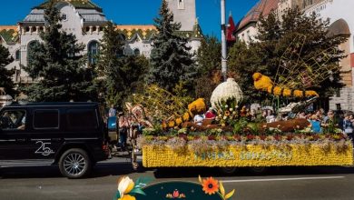 cetatea-medievala-din-targu-mures-se-umple-de-flori-la-a-treia-editie-magia-florilor