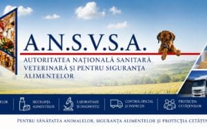 ansvsa:-transporturile-clandestine-de-ovine,-risc-de-a-raspandi-boli